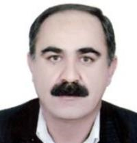 سیاوش گودرزی