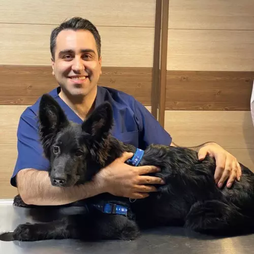 کلینیک دامپزشکی آریانا