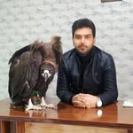 کلینیک دامپزشکی دکتر تارخ